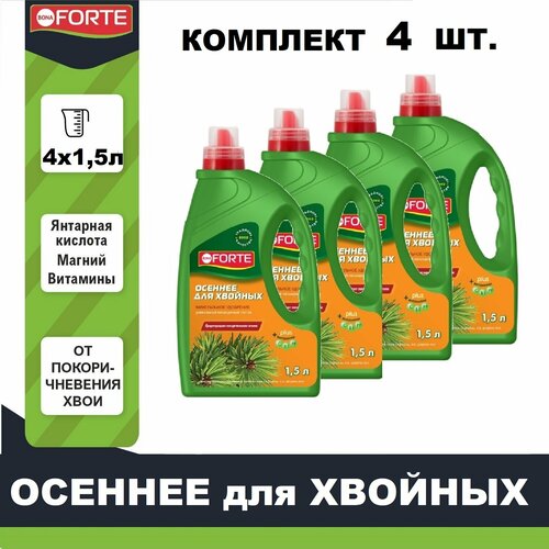 ���� ����������� ��������� ��� ������� �������� Bona Forte ������� �������� 1,5� � 4��, ������ �� 2800 ���