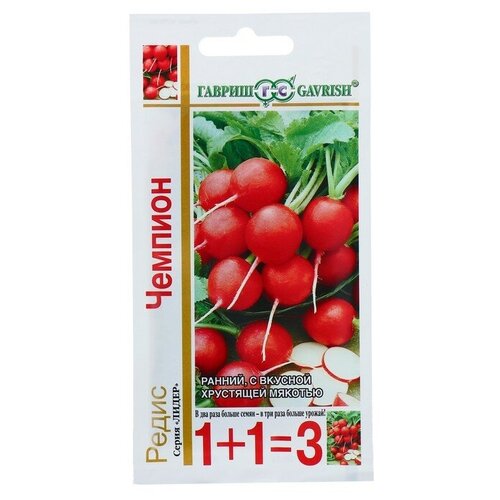 ���� ������ ����� 1+1 