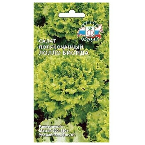 ���� ������ ������ ����� ����� ������ 1 �, ������ �� 48 ���