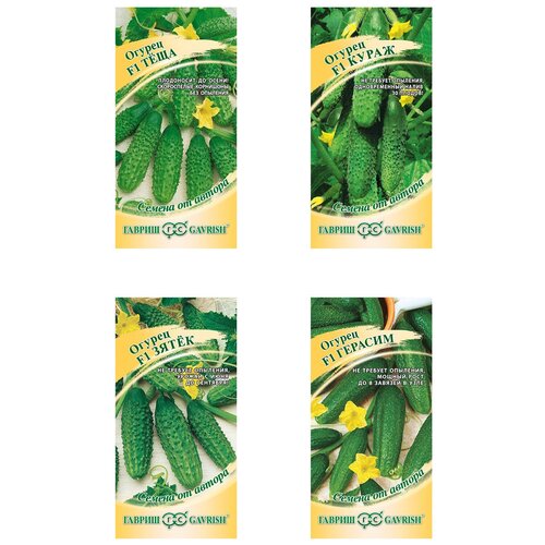 ���� ����� �����, ������ ������� ����, �����, �����, �������, ������ �� 489 ���