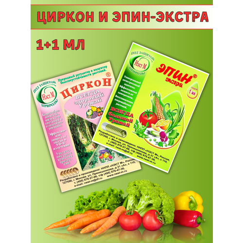 ���� ����-������ 1 �� + ������ � ������������� 1 ��, ��������, ������ �� 124 ���