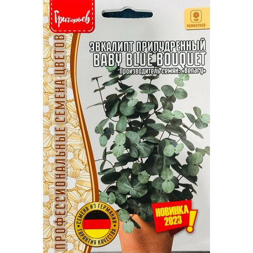 ���� ������ ��������� ������������� 