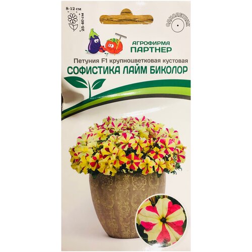 ���� ������ ������� ��������������� �������� 