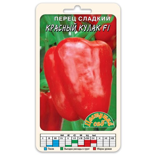 ���� ������ �������� ��� 