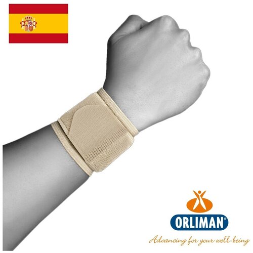 ���� ���������� ������ ������� �� �������� ORLIMAN, ���������� ����������, �������� ��������� ������� TN-261, ������ �� 1890 ���