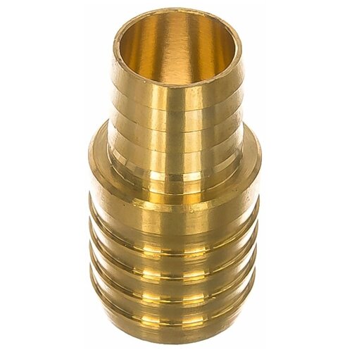 ���� ���������� ��������� ��������� ������� 19�� - 25��, ������ �� 605 ���