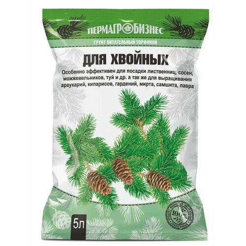 ���� ����� ��� �������, �����, ����� 5 �, ������ �� 450 ���