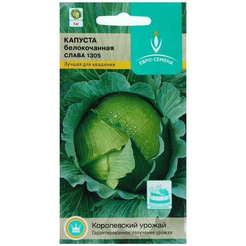 ���� ������ ������� ������������ 