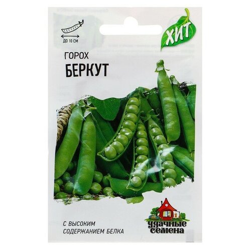 ���� ������ ����� 