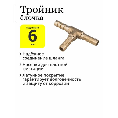 ���� ������� �������� 