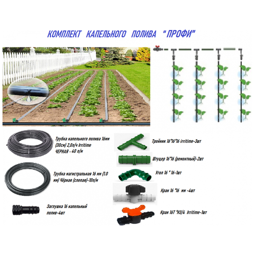 ���� ��������� ����� 