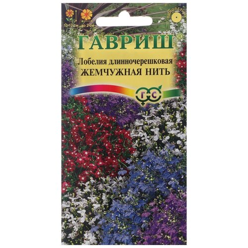 ���� ������. ������� 