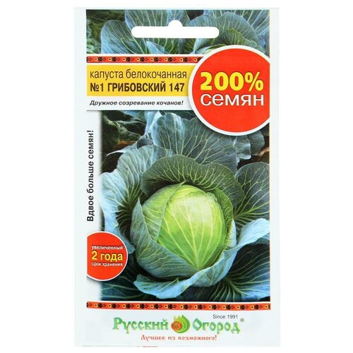 ���� ������. ������� ������������ 