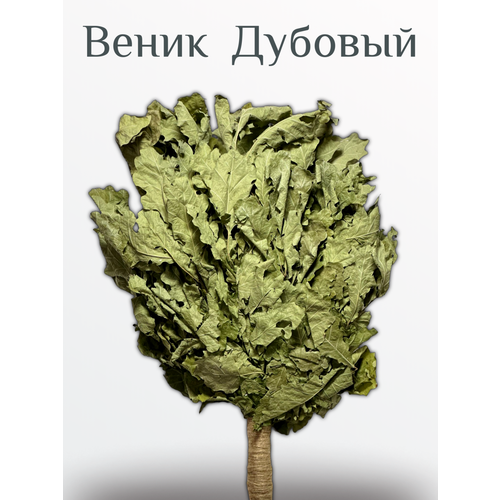 ���� ����� ��� ���� ������� 