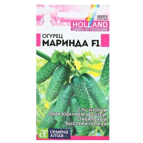 ���� ������ ������ 