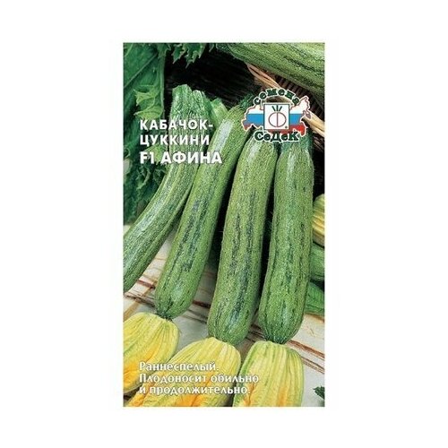 ���� ������ �������� ����� ������ ����� F1 1 �, ������ �� 63 ���