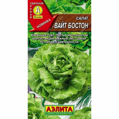 ���� ������ ����� ���� ������, �������� (������) 0,5�, ������ �� 41 ���