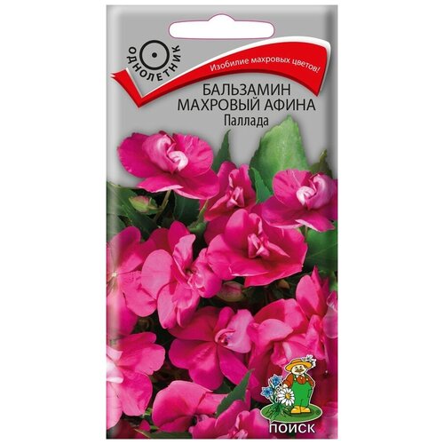 ���� ������ ��������� �������� ����� ������� ���������� 5 ��., ������ �� 121 ���