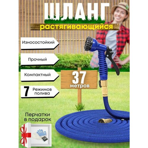 ���� ����� ������� ���������� ��������������� 37 ������, ������ �� 1570 ���