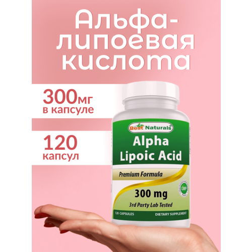 ���� �����-�������� ������� 120 ������ 300 ��, ������ �� 851 ���