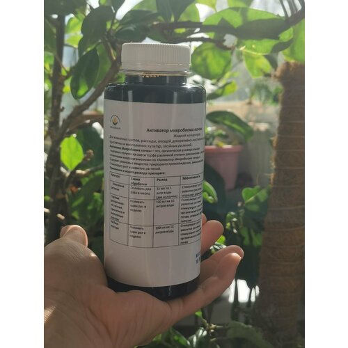 ���� ��������� ���������� �����, ������ �� 650 ���