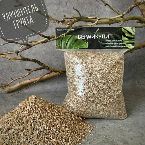 ���� ���������� ��� ��������� �������� ������������ ������ 2 �����, ������ �� 369 ���