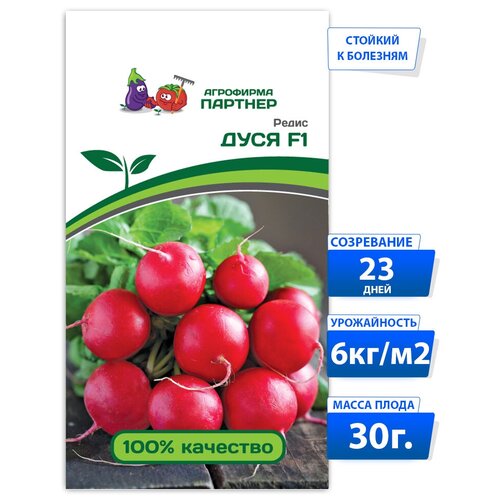 ���� ������ ����� ���� F1 / ��������� �������/, ������ �� 102 ���