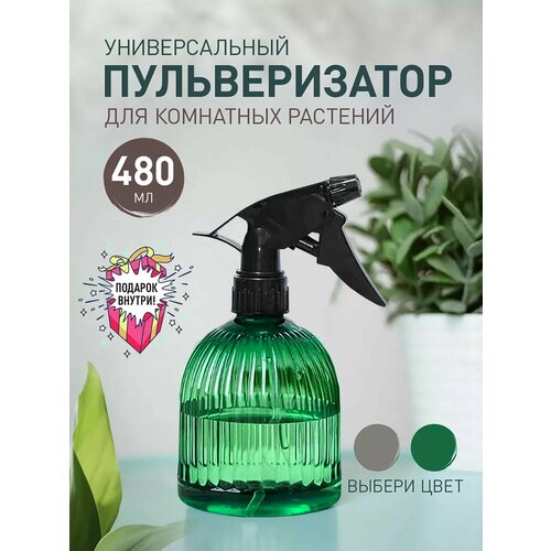   iulkapu      ,   370 