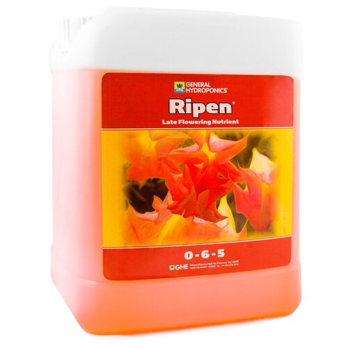 ���� FinalPart T. A. (Ripen) 5�, ������ �� 7248 ���