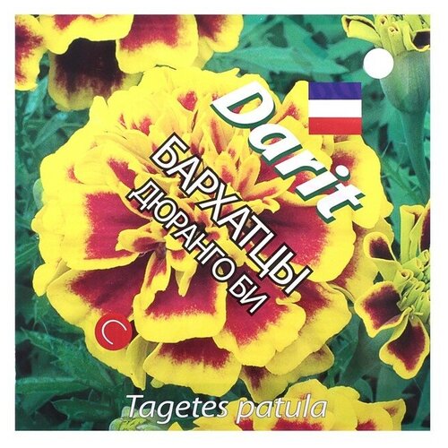 ���� ������ ������ �������� 