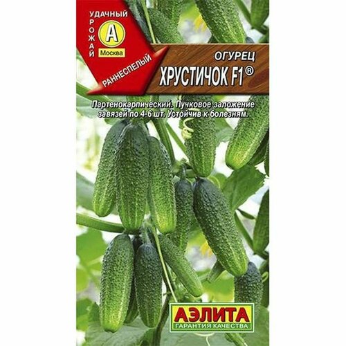 ���� ������ ������ ��������� F1 ����, �����������, (������) 10��, ������ �� 60 ���