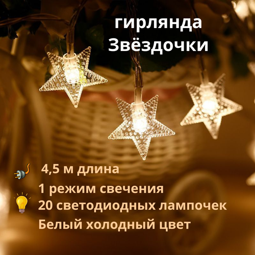 ���� ������������� �������� �����, ������ �� 290 ���