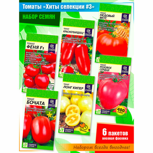 ���� ����� ����� ������� 