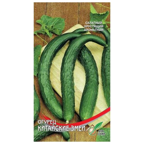 ���� ������ ��������� ����, 8 �����, ������ �� 241 ���