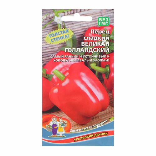 ���� ����� ������� 