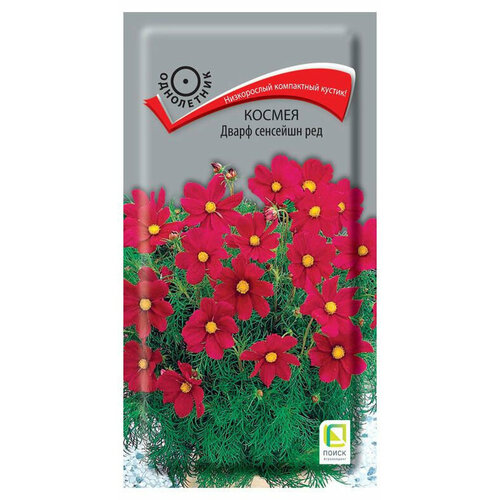 ���� ������ ������ ����� �������� ��� 0,2�� (�����), ������ �� 43 ���