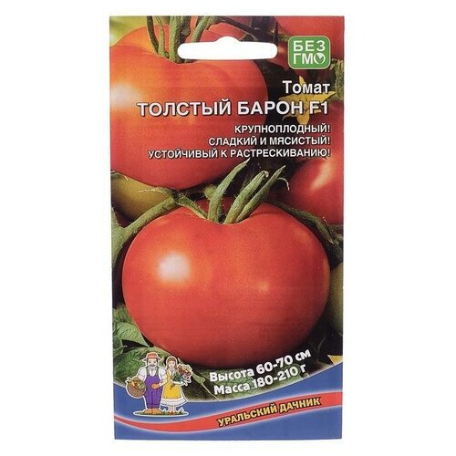 ���� ������ ����� 