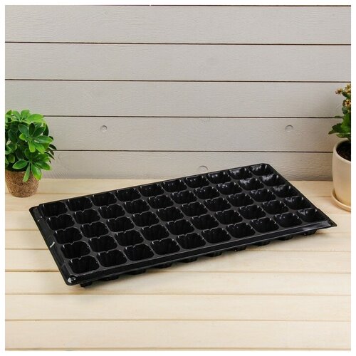 ���� ������� ��� �������, 50 ����� �� 70 ��, ������, Greengo, ������ �� 333 ���