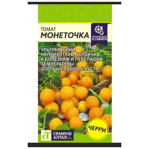 ���� ������ ������ 