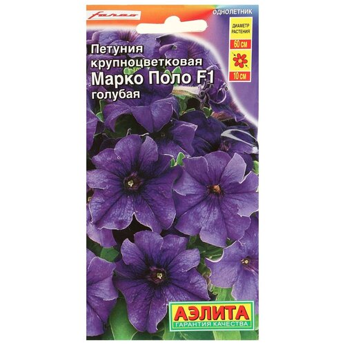 ���� ������ ������� 