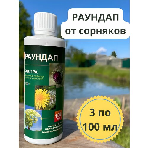 ���� ������� �� �������� 300��, ������ �� 612 ���