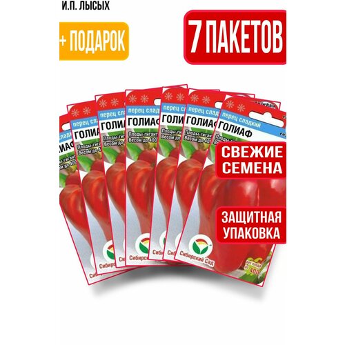 ���� ������ ����� ������ 15��, ������ �� 399 ���