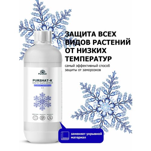 ���� �������� ������ �������� ������-� ������������� ��� ������ �������� � ������������ �� ������ ���������� ������ (Purshat) 1�, ������ �� 768 ���