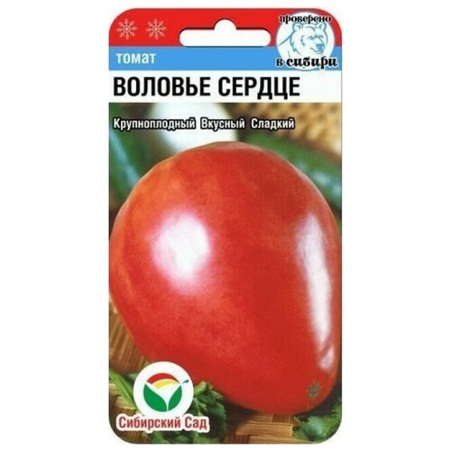 ���� ����� ������� ������, ������ �� 43 ���