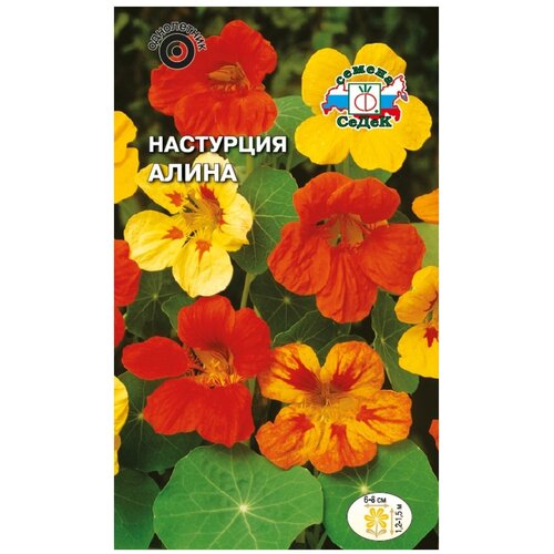 ���� ������ ����� ��������� �����, ������ �� 259 ���