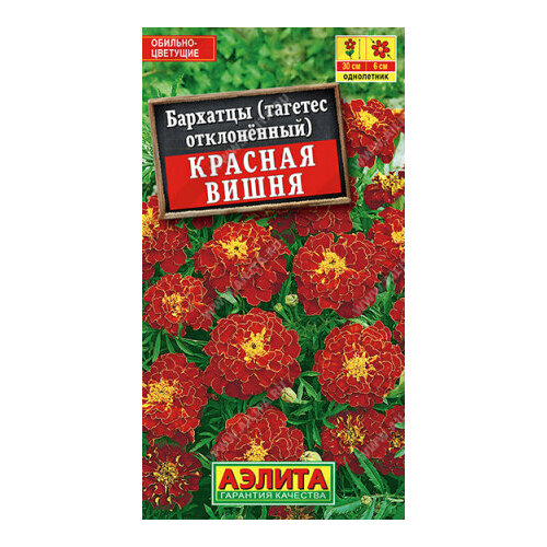 ���� ������ �������� ����������� ������� ����� 0.3� 30�� (������), ������ �� 42 ���