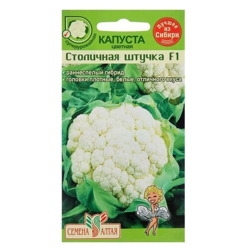 ���� ������ ������� 