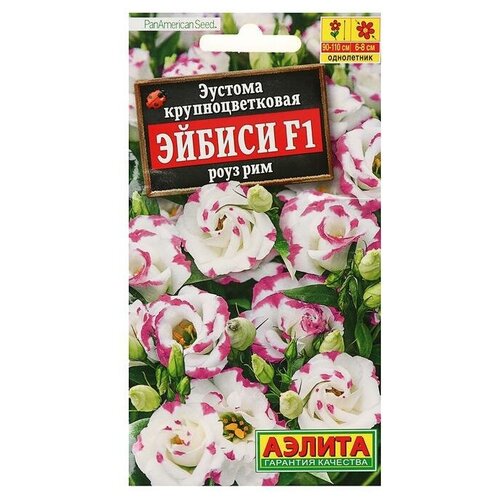 ���� ������ ������� 