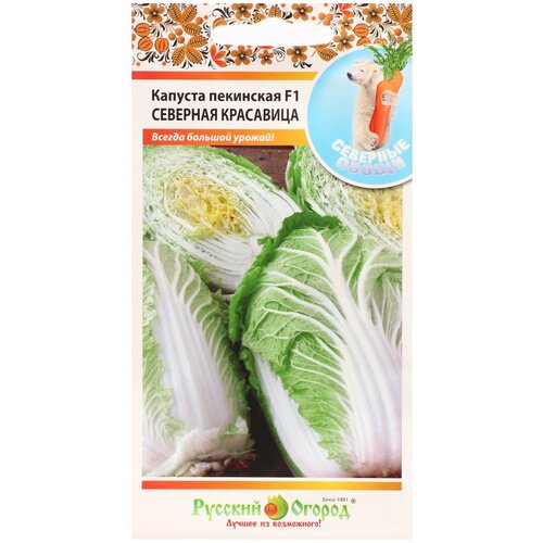 ���� ������ ������� ������ ����� �������� ����� ������� ��������� �������� ��������� F1, 50 ��, ������ �� 172 ���