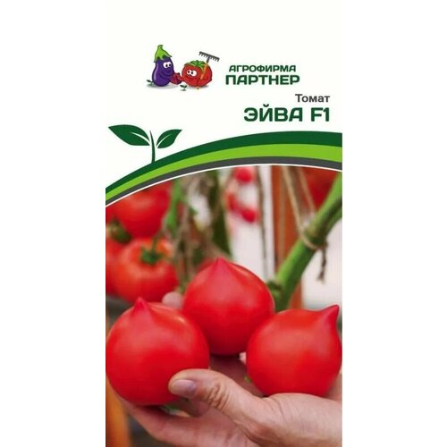    F1   (1 -0,05  ),   335 